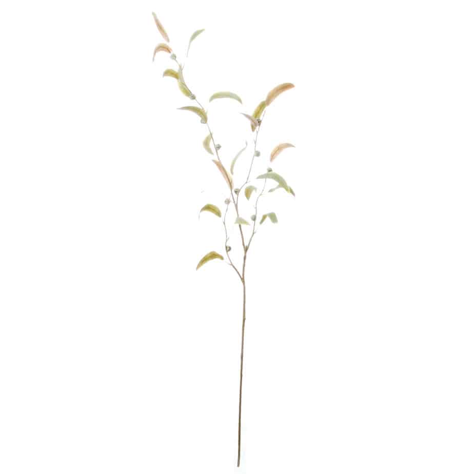 Eucalyptus infructescence 100cm groen 3