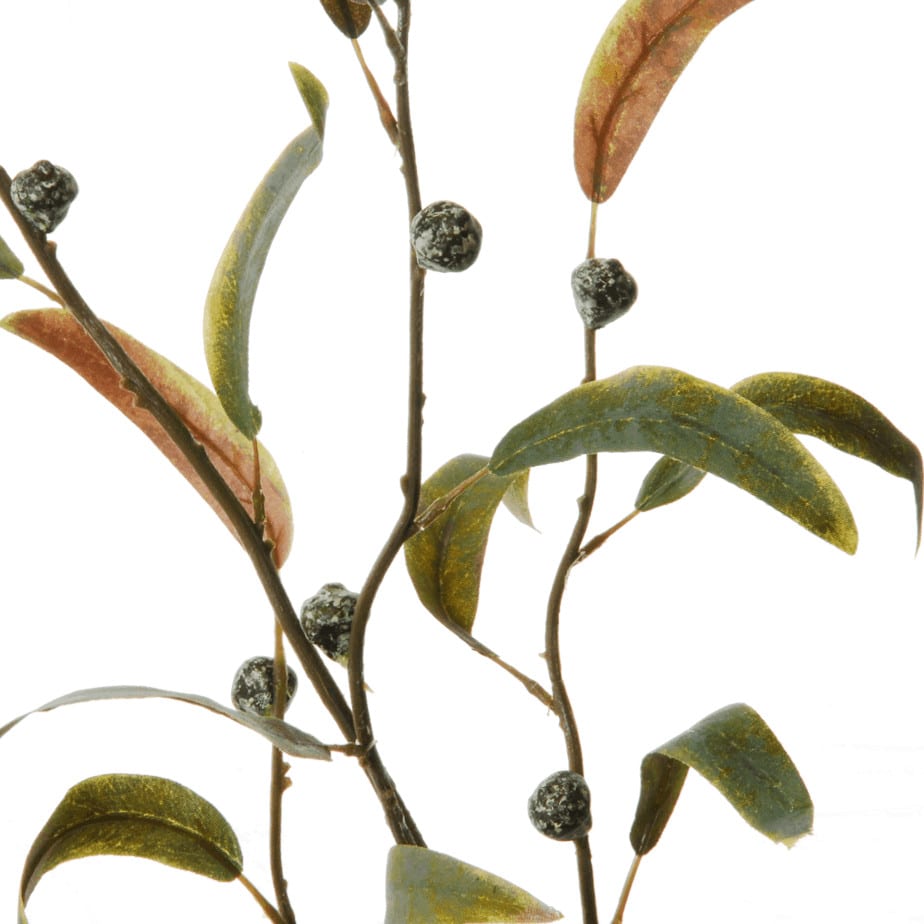 Eucalyptus infructescence 100cm groen 2