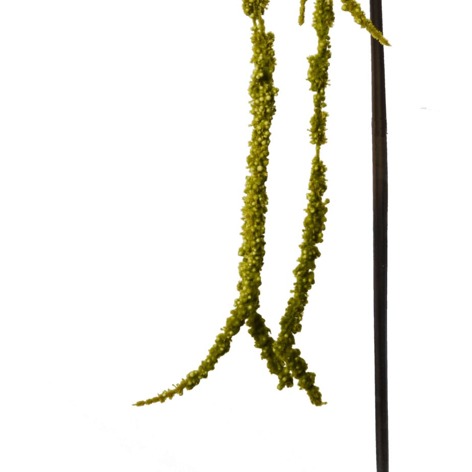 Amaranthus 148cm groen 3
