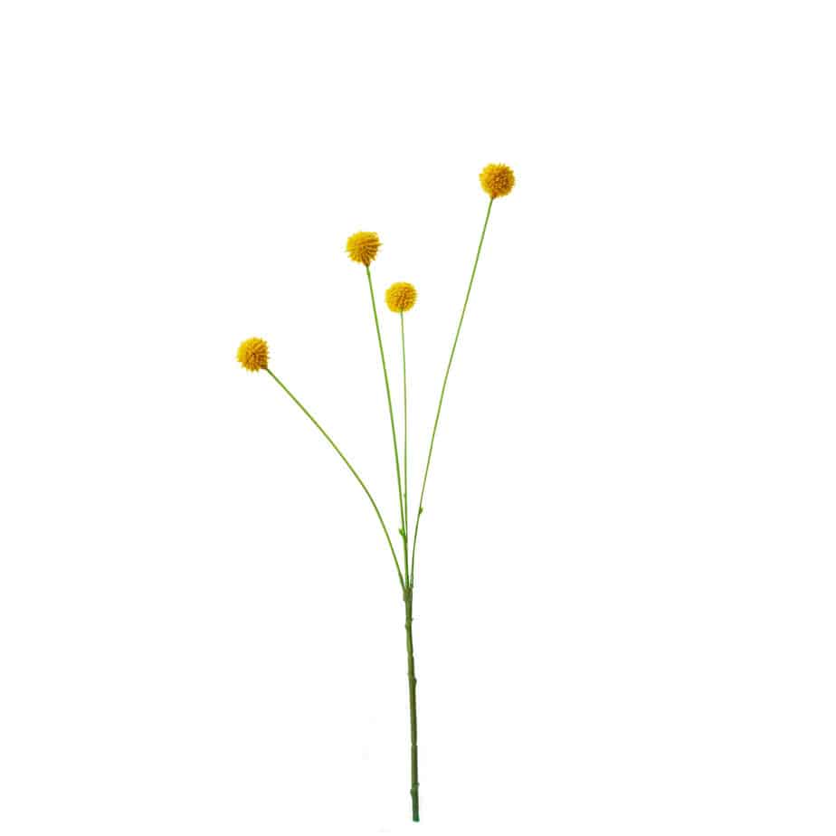 FlowerDutchess Kogeldistel geel 46cm