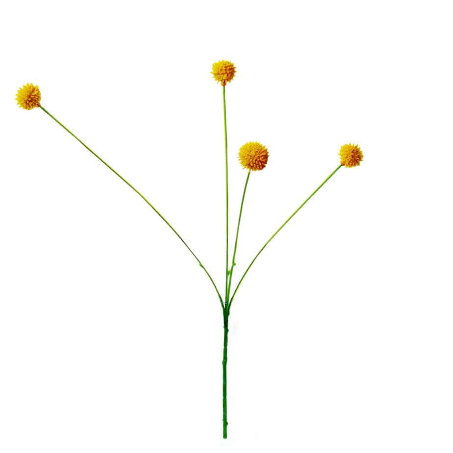 FlowerDutchess Kogeldistel geel 46cm 2