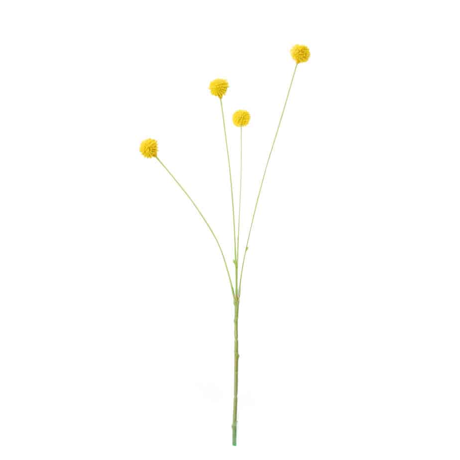 FlowerDutchess kogeldistel geel