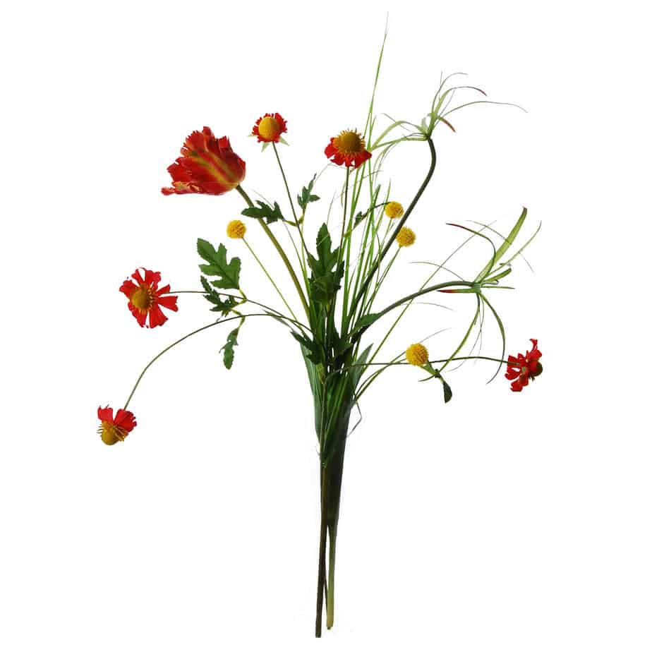 FlowerDutchess Kogeldistel rudbeckia papyrus tulp