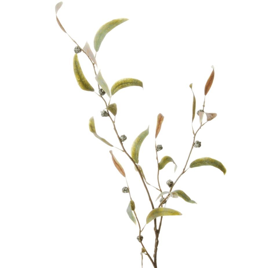 Eucalyptus infructescence 100cm groen