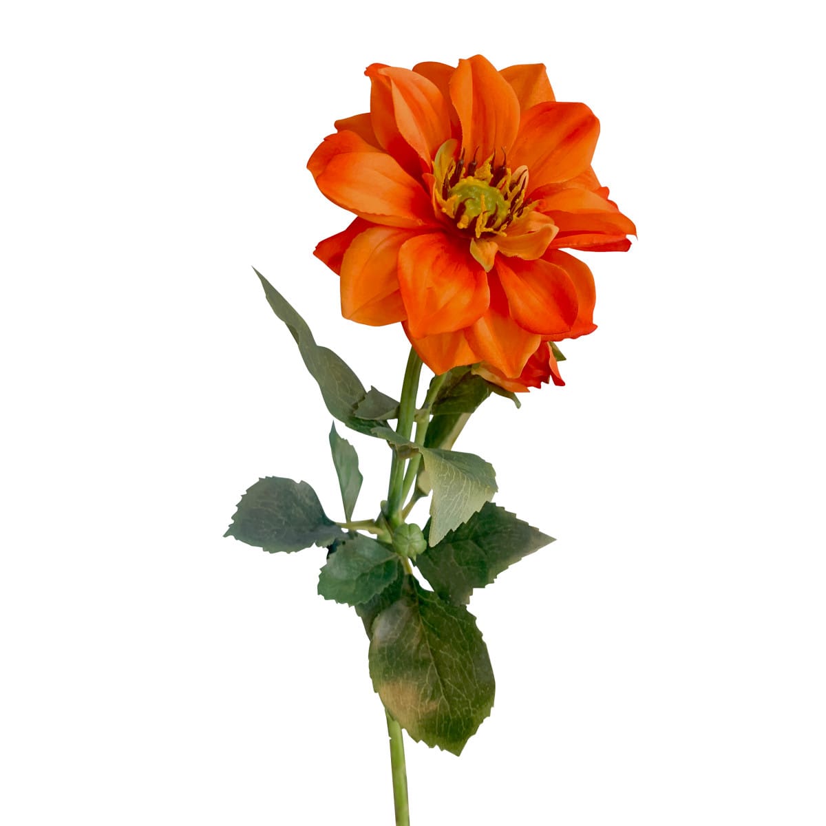 FlowerDutchess Dahlia 55cm oranje 5