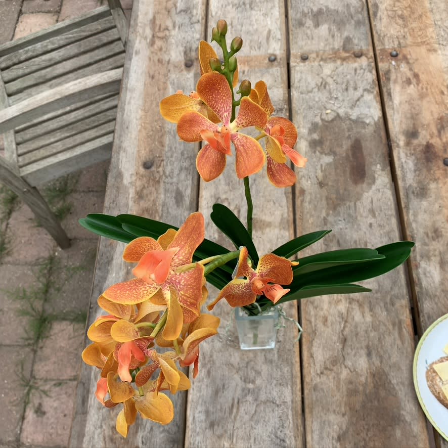 D109F56D 06A1 4569 9F03 4384DE5A737A 1 105 c