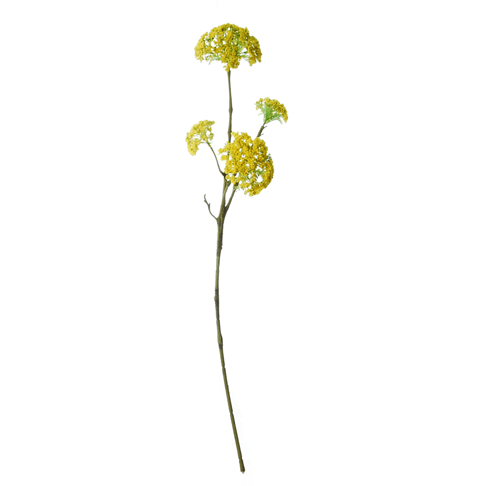 FlowerDutchess Lange Dille tak 89cm geel 2