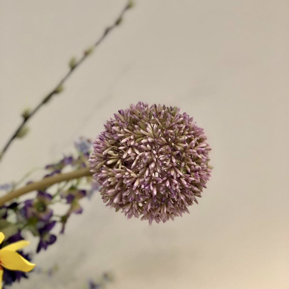 44c7ea7a 92ac 4c85 912c a5785b7ec70d