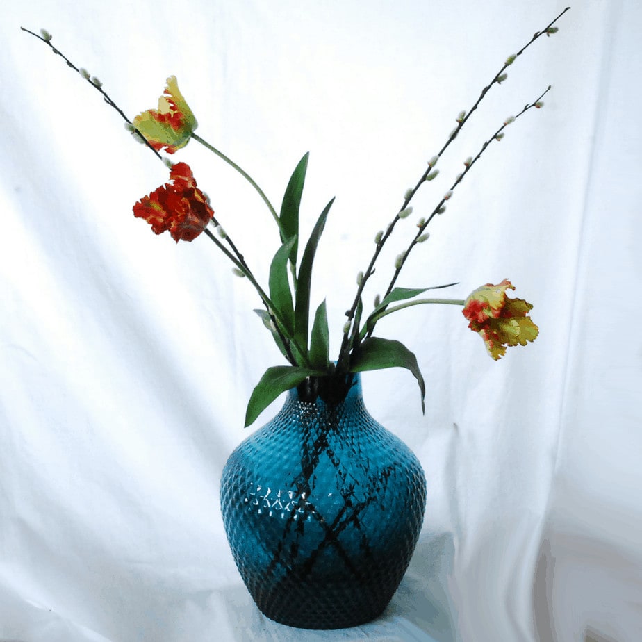 FlowerDutchess rembrandt tulpen rood groen lente 1