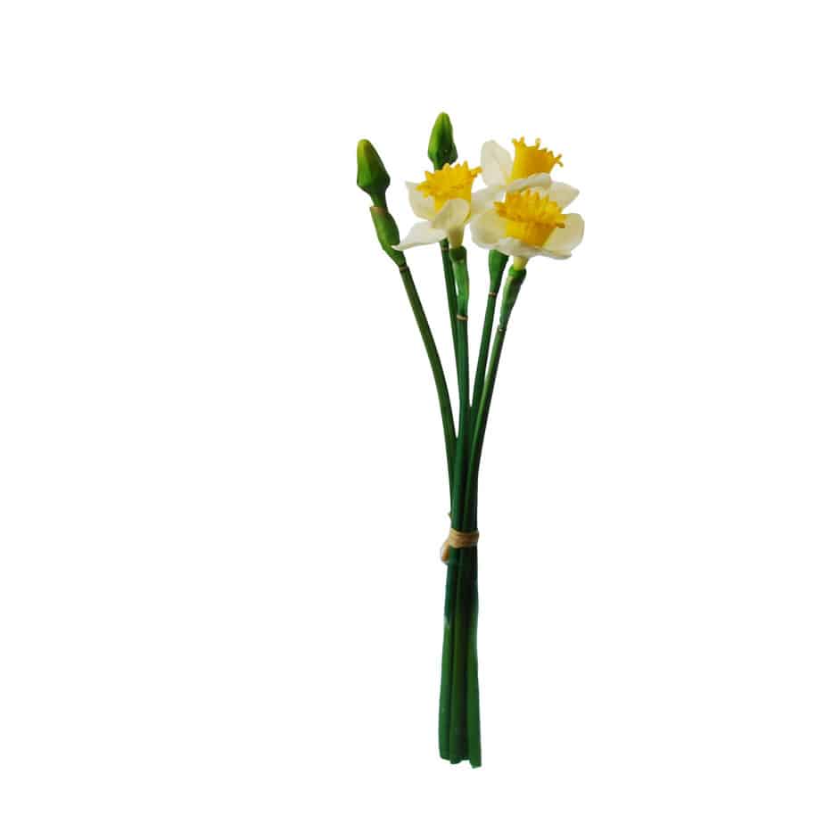 FlowerDutchess bundle of daffodil 43cm white yellow