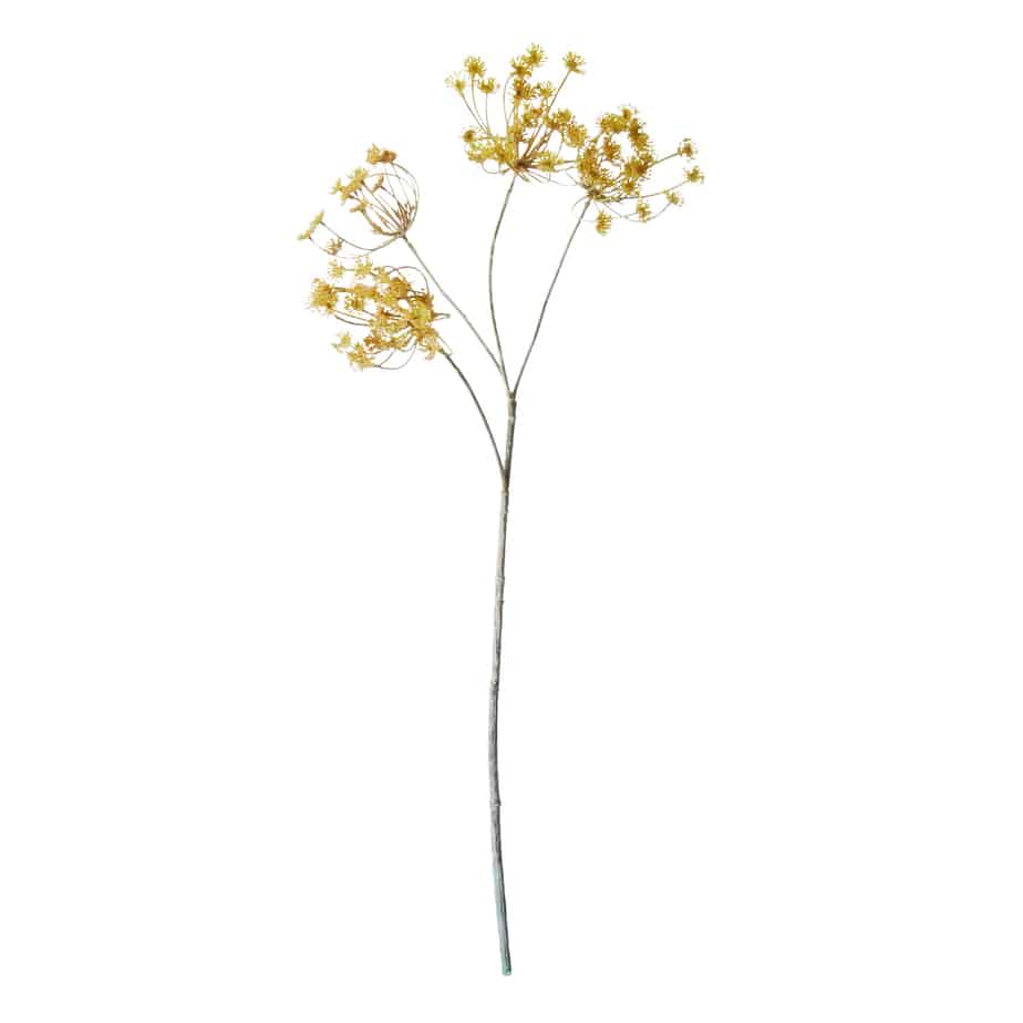 FlowerDutchess Dille 75cm creme roze 3