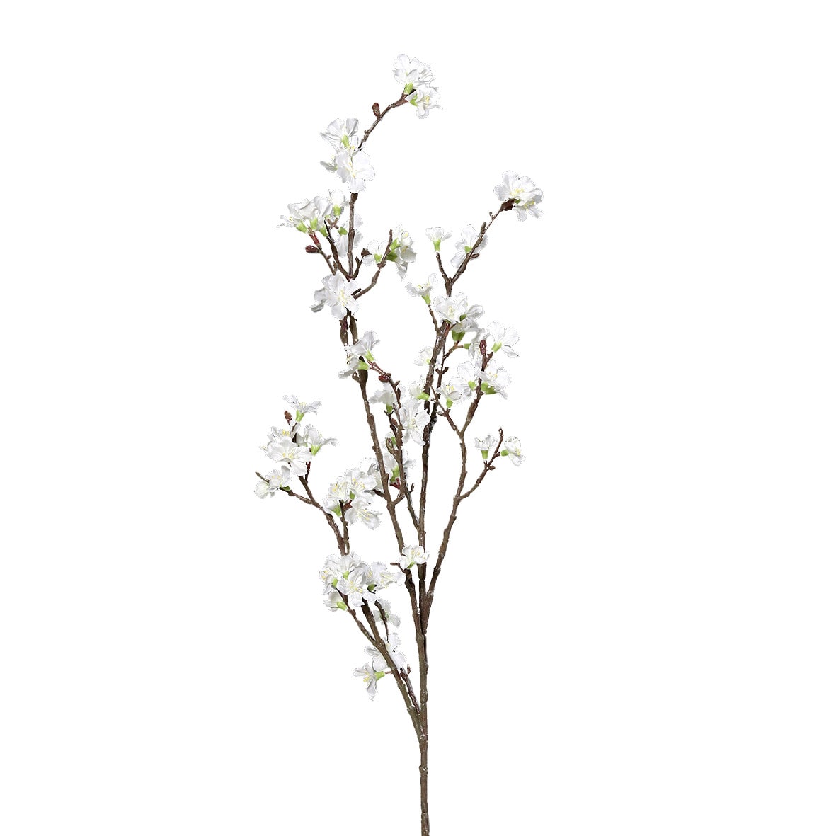 FlowerDutchess Kersen Bloesem 100cm