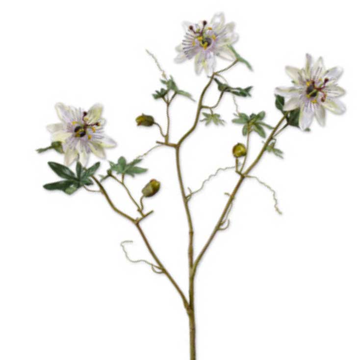 Zijden passiebloem in roomwit met paarse details in het hart, met natuurlijke kronkelende ranken en groene bladeren. De bloem heeft een diameter van ongeveer 8 centimeter en heeft karakteristieke meeldraden en een fijn geaderde bloemkroon.