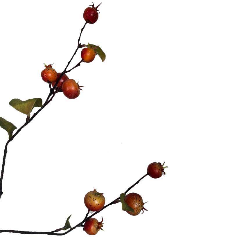 Granaat appel kunsttak| 101 cm | oranje rood - Afbeelding 6