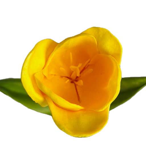 Tulp van foam op een lange steel | geel | 60 cm - Afbeelding 9