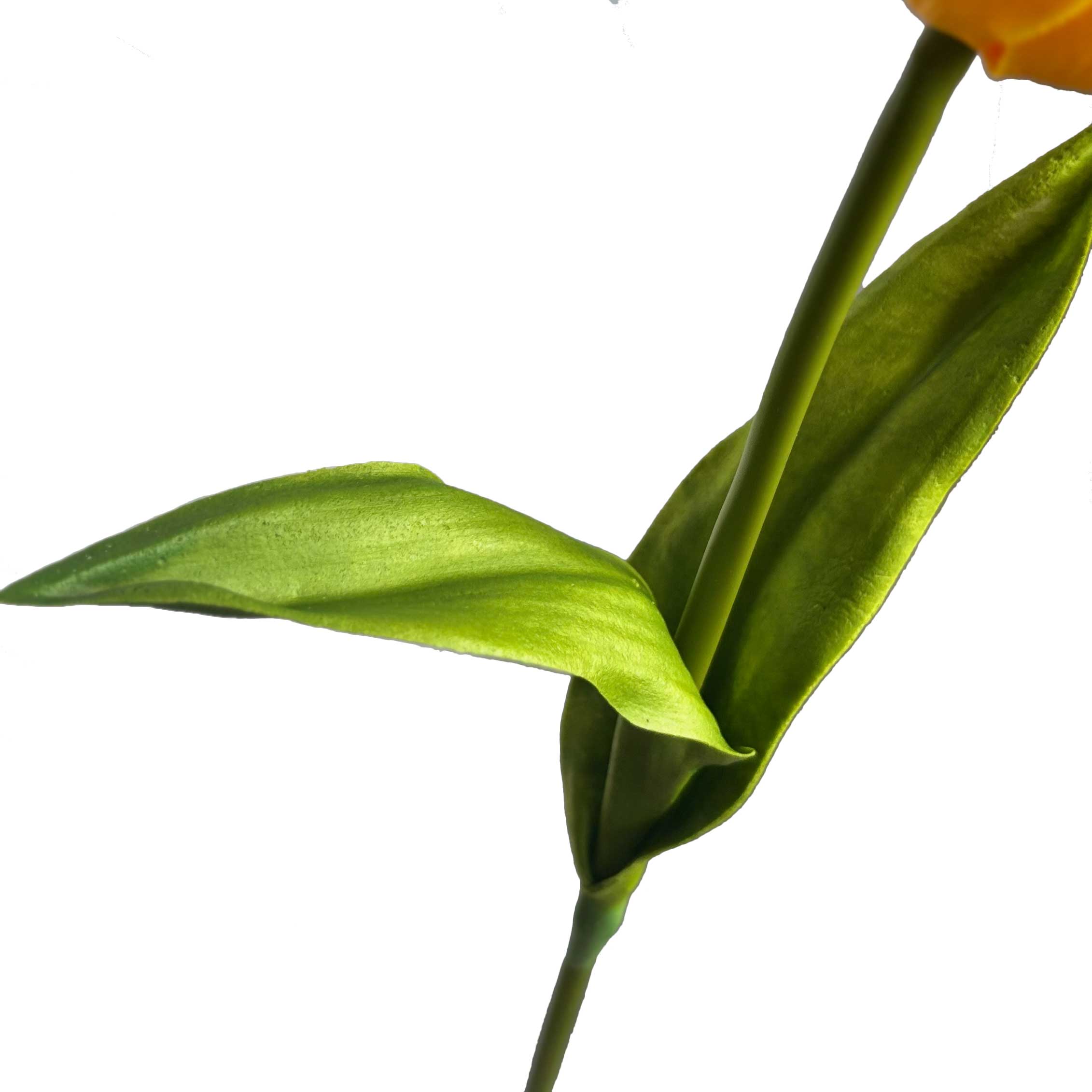 Tulp van foam op een lange steel | geel | 60 cm - Afbeelding 5