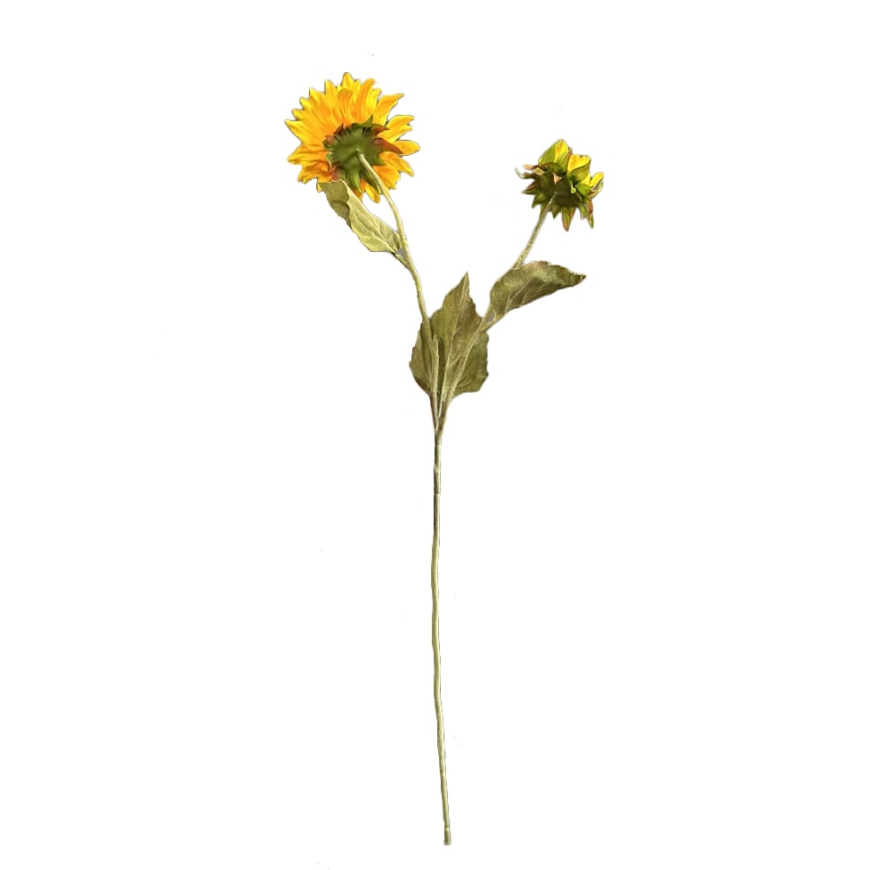 Zonnebloem | 69 cm | geel | 2 bloemkoppen - Afbeelding 3