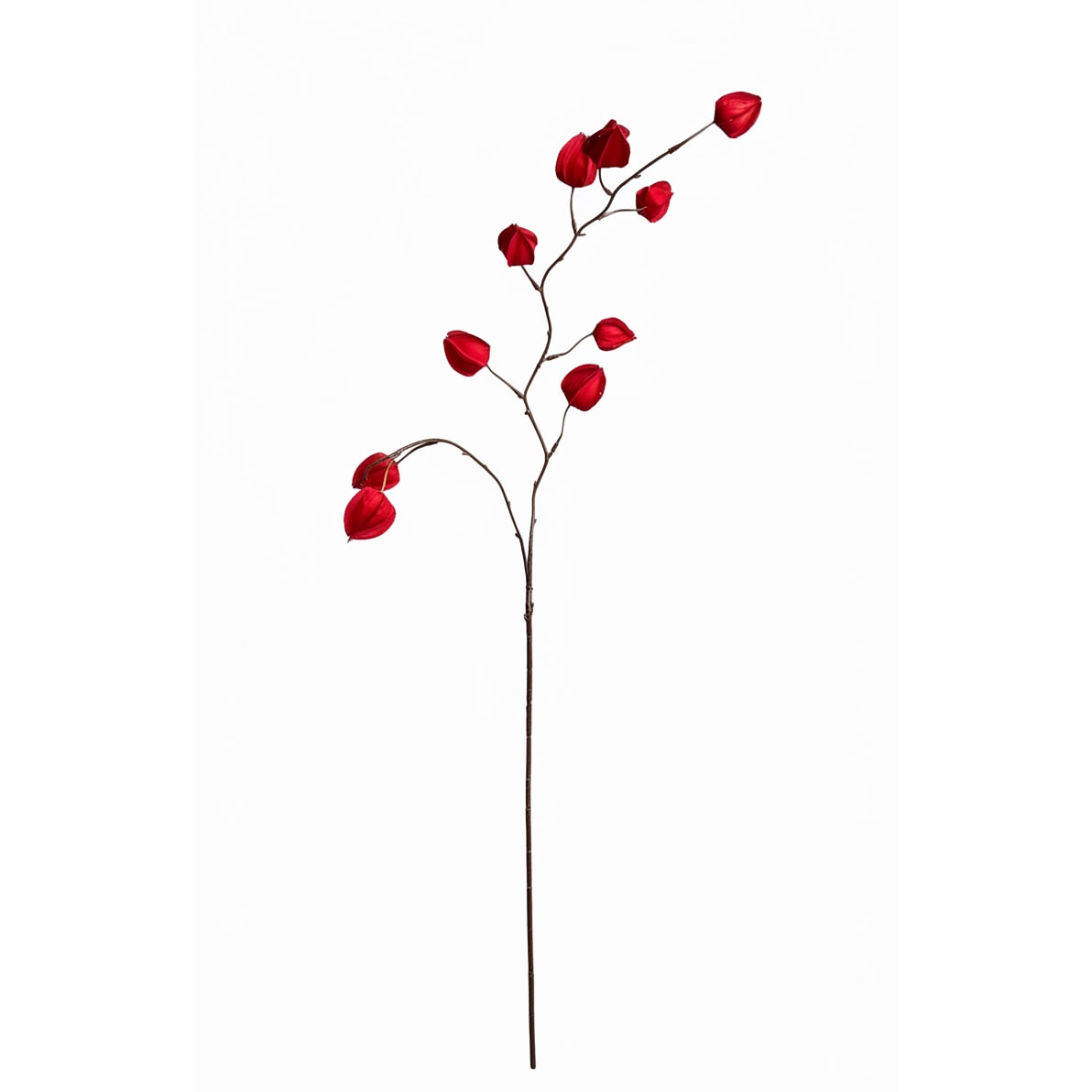Kunstbloem physalis tak 96cm met negen rode lampionnetjes op lange gebogen steel, zijden decoratietak FlowerDutchess op witte achtergrond