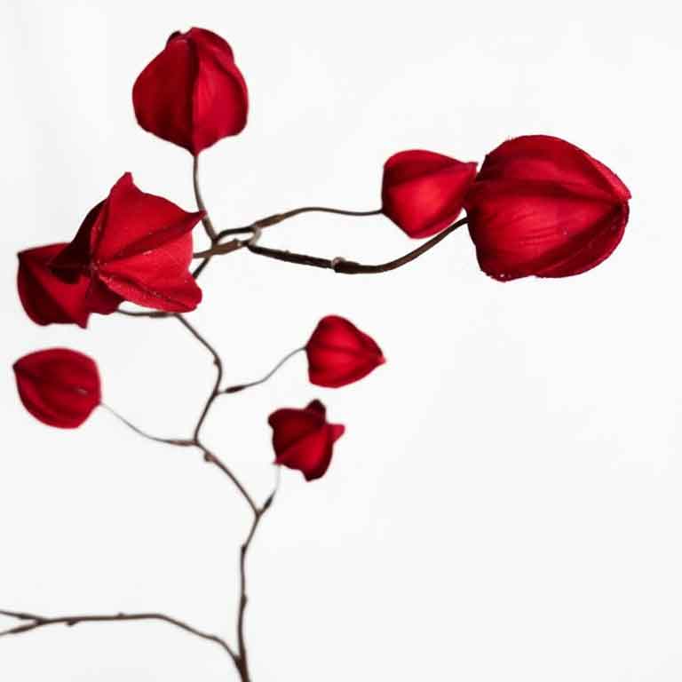 Detail van kunst physalis steel met vijf rode lampionnetjes, natuurlijke plaatsing op bruine steel, FlowerDutchess kunstbloem