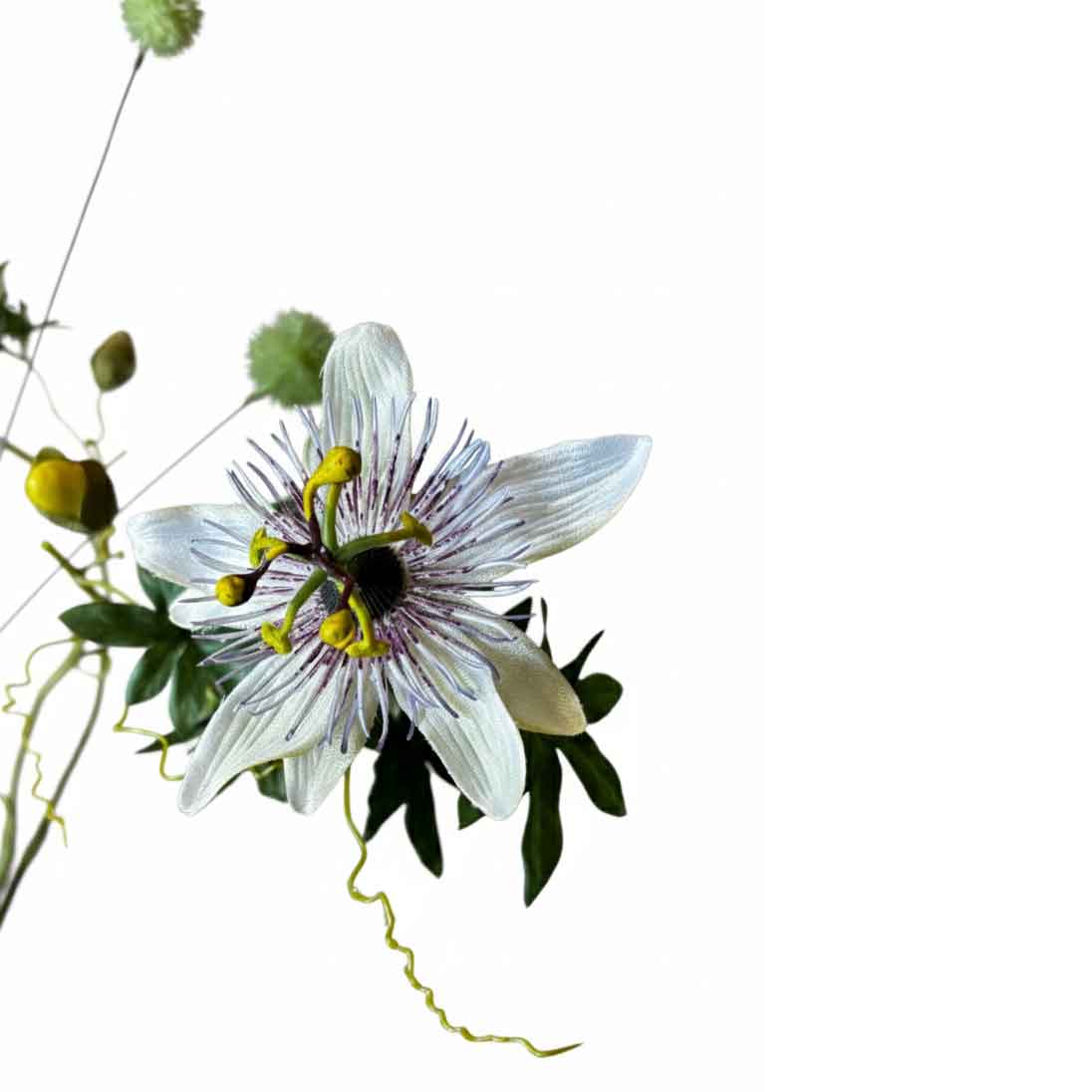 Extreme close-up kunstbloemen passiebloem met paarse stralenkrans, gele meeldraden en groene distel op achtergrond