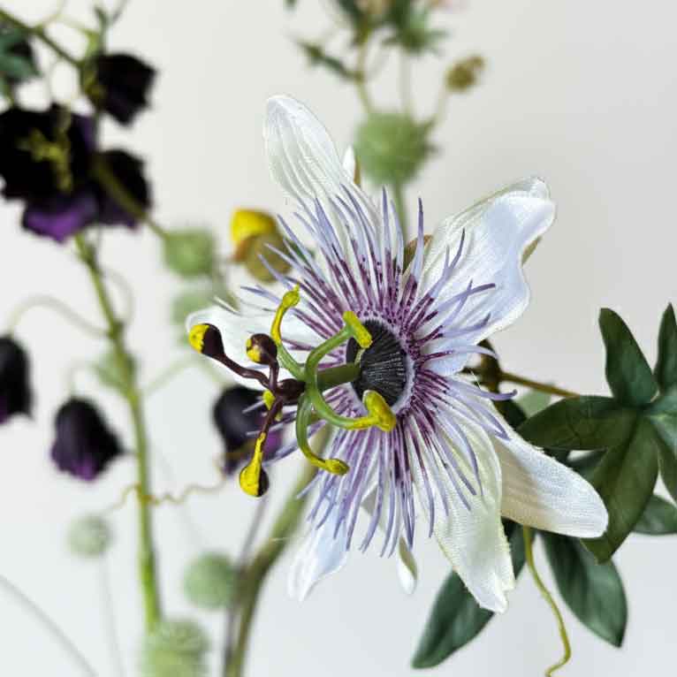 Extreme close-up van witte kunstbloemen passiebloem met paarse stralenkrans en gele meeldraden