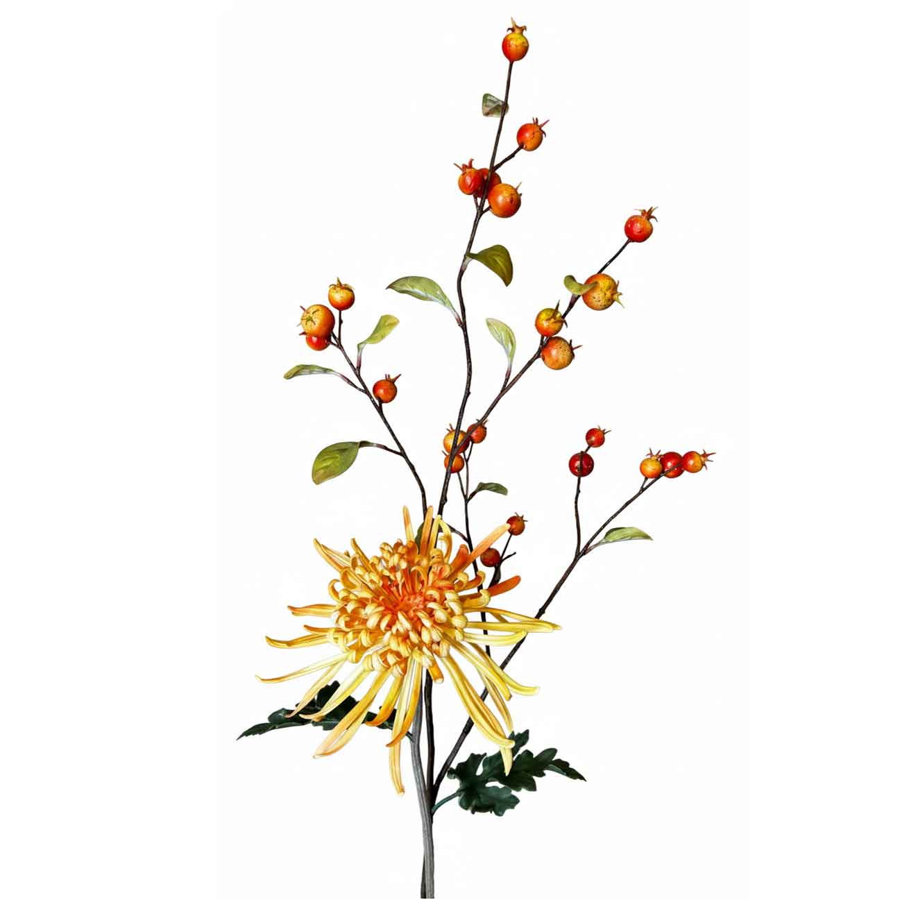 Close-up kunstbloemen spin chrysant met oranje rozenbottels en groene bladeren op witte achtergrond