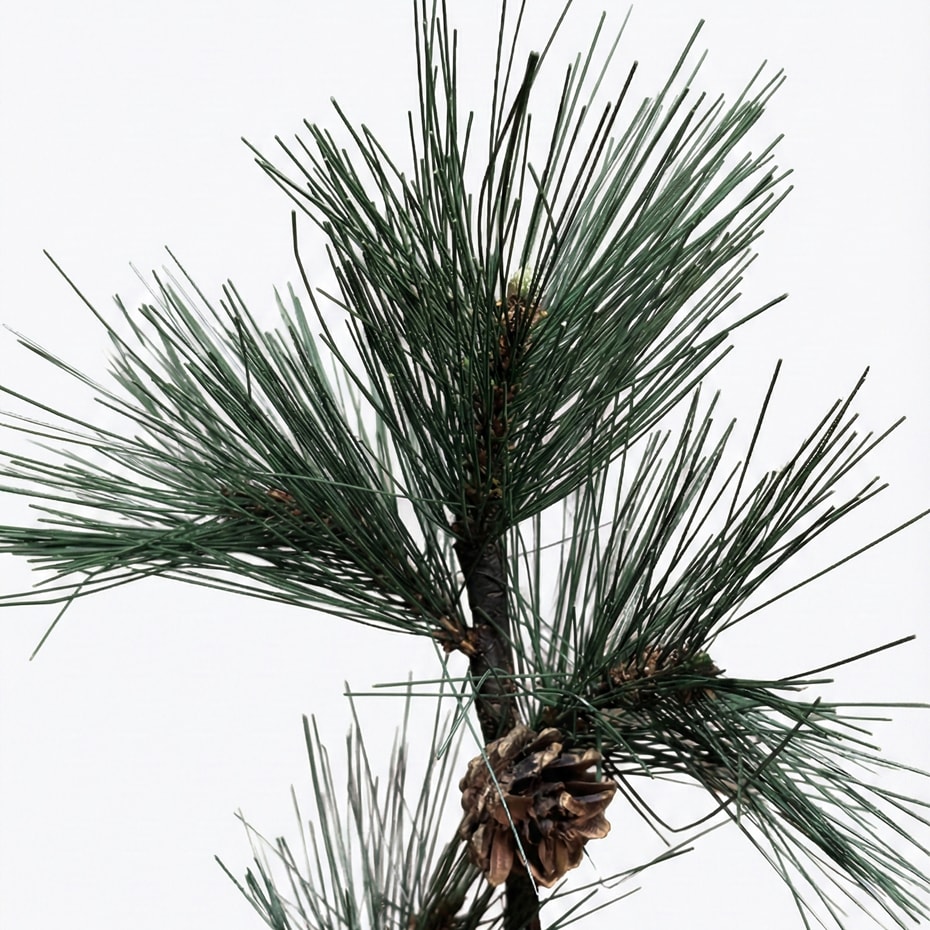 Zwarte Dennentak Kunsttak | 75cm | groen | met Dennenappels - Afbeelding 2