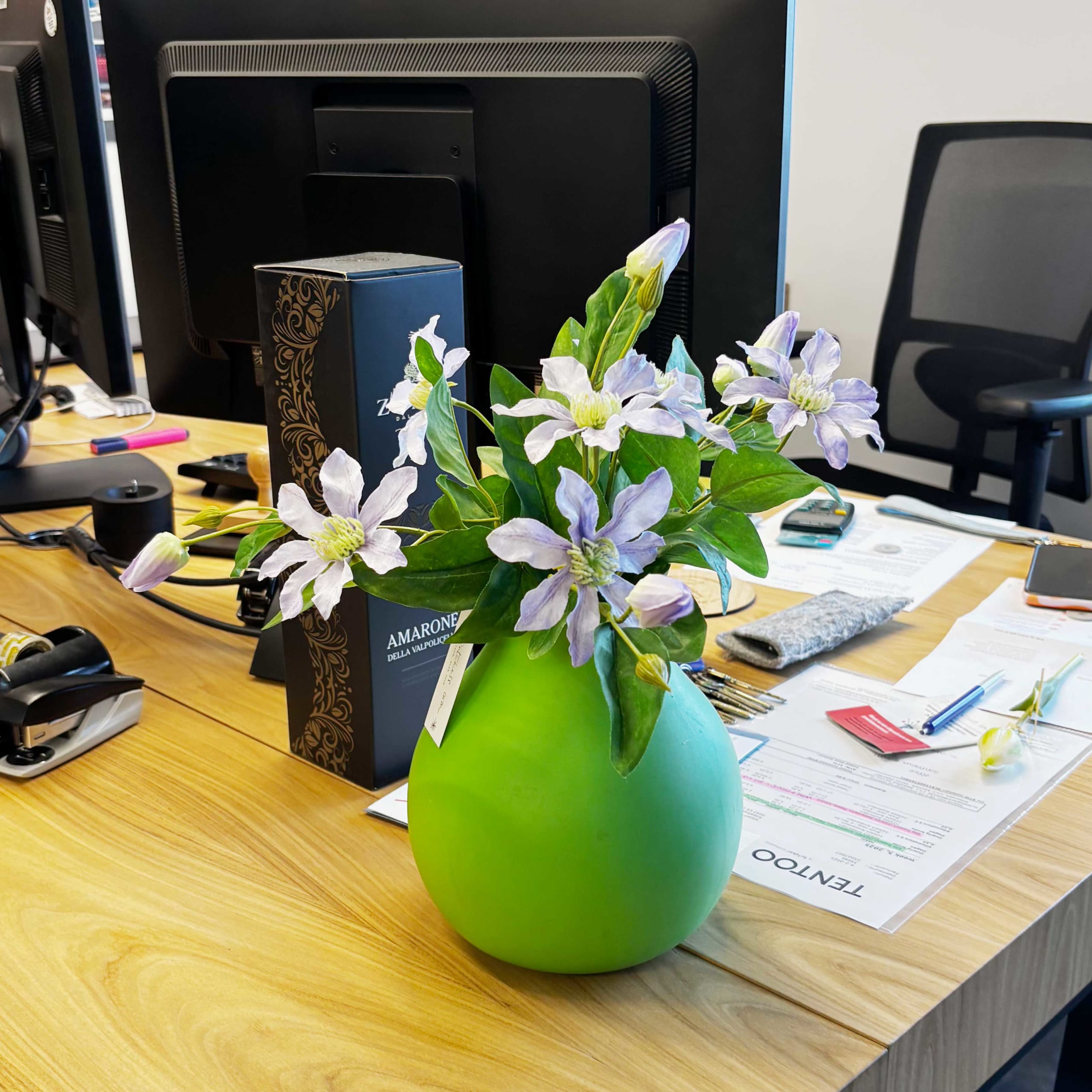 Clematis | 40 cm | lila - Afbeelding 2