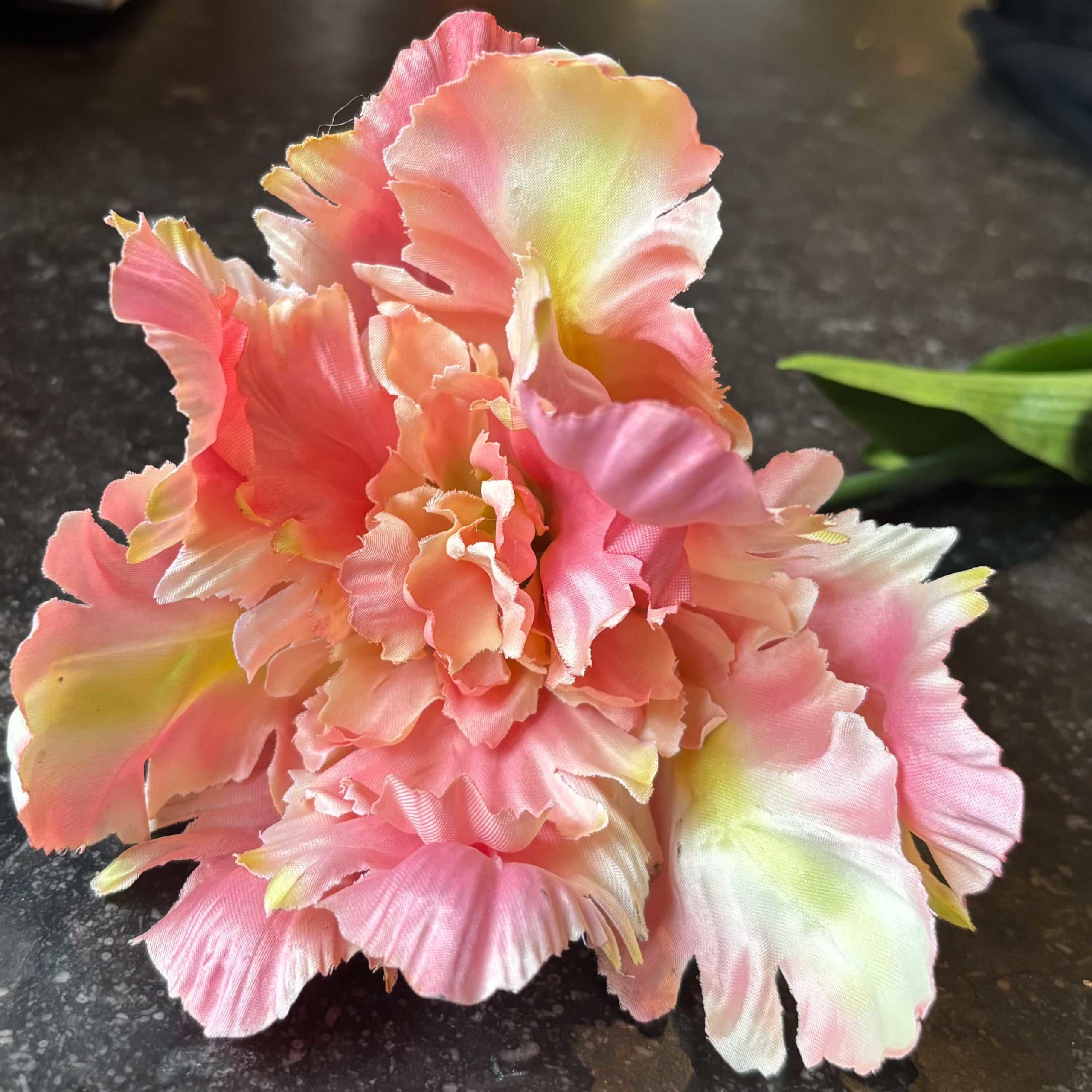 Parkiettulp | 68 cm | zalm - Afbeelding 4