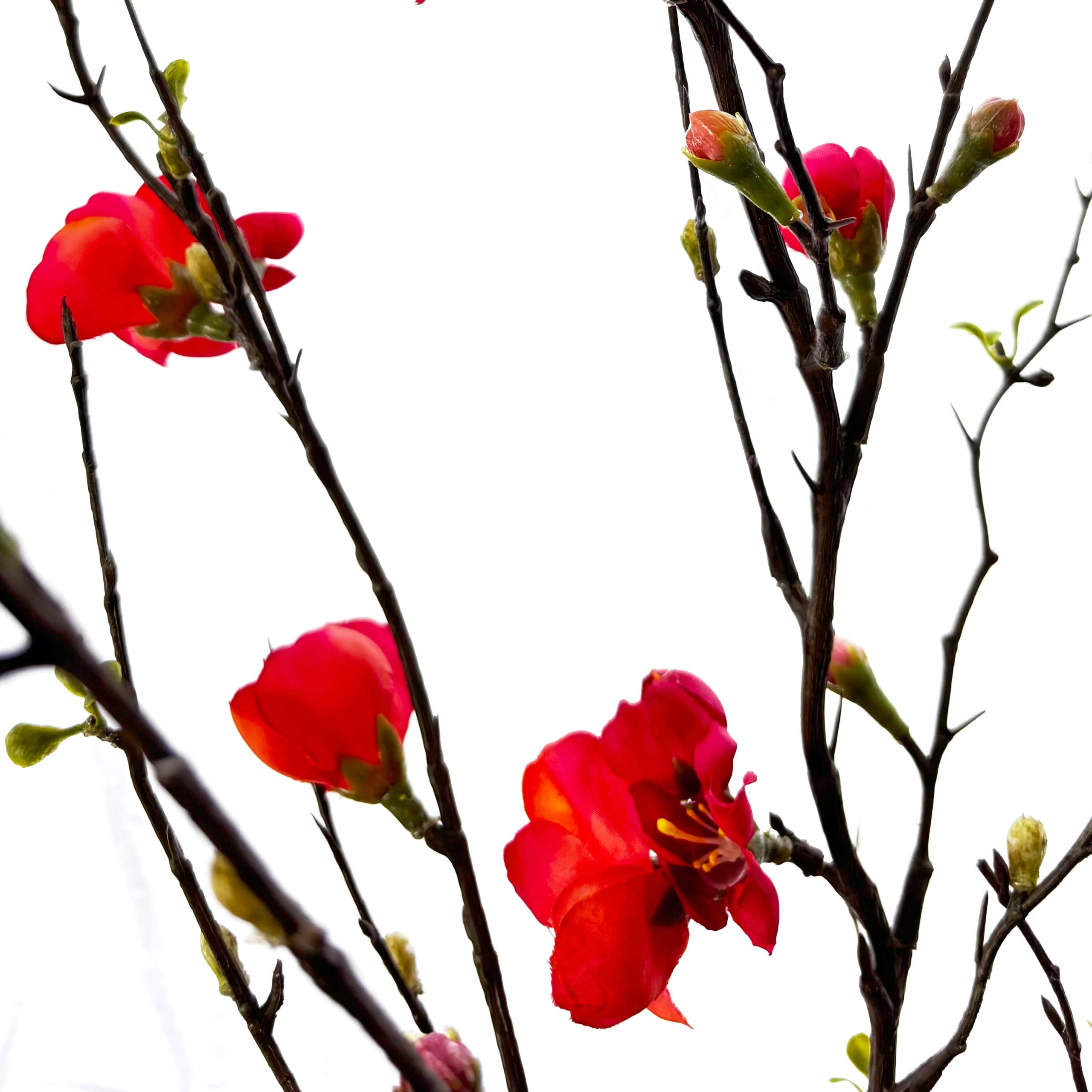 Koraalrode kweepeer bloesemtak kunstbloem 125 cm met vertakkingen en knopjes FlowerDutchess natuurgetrouwe zijdenbloesem