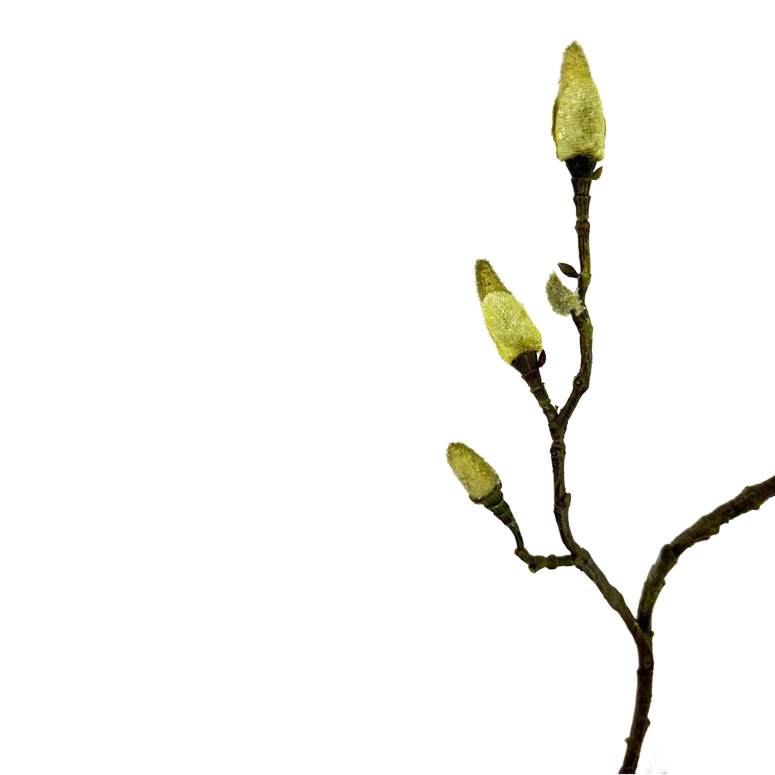 Minimalistische zijden magnoliatak met natuurgetrouwe groene knoppen, 90cm lang - FlowerDutchess kunstbloemen