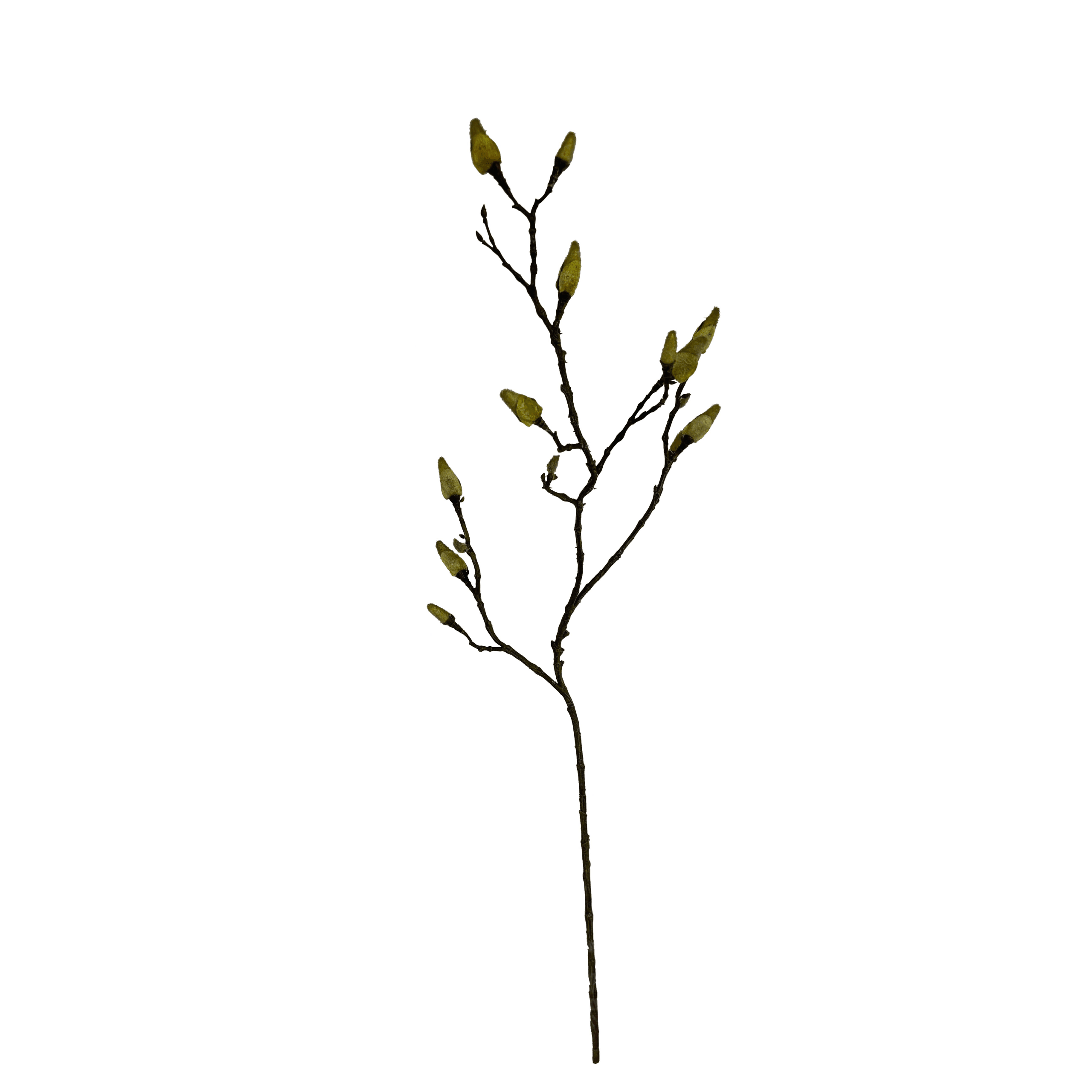 Minimalistische zijden magnoliatak met natuurgetrouwe groene knoppen, 90cm lang - FlowerDutchess kunstbloemen