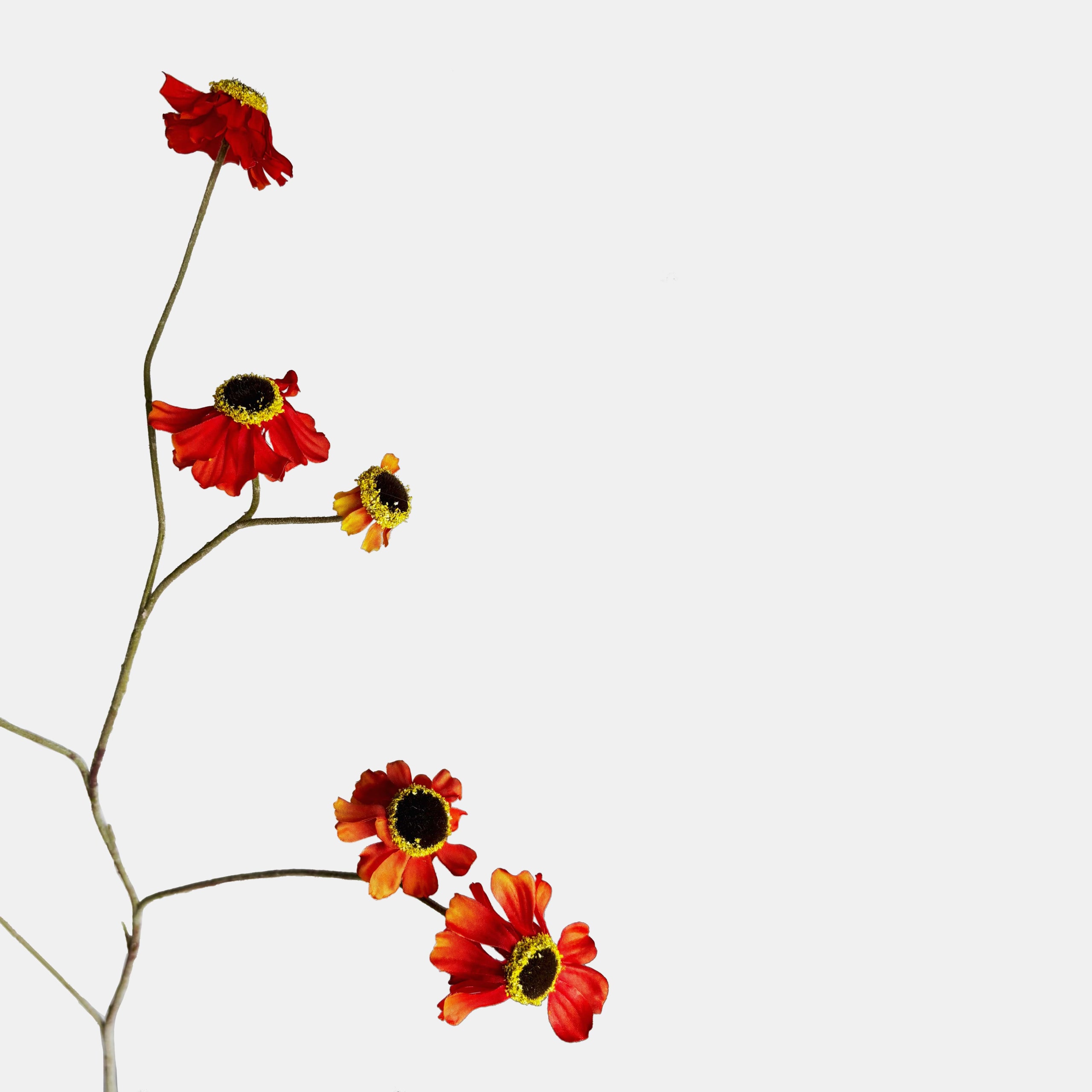 Artistieke foto van oranje-rode zonnehoed kunstbloem FlowerDutchess tegen witte achtergrond, sierlijke vertakkingen met meerdere bloemen, natuurgetrouwe rudbeckia met donker hart en gele rand
