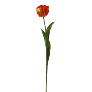 Tulip on a stem red yellow 62 cm