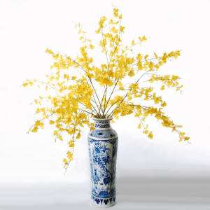 Orchis Oncydium yellow in delfts blue edited 1