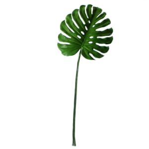 Split Philo Leaf