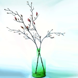 FlowerDutchess vroeg lente 4