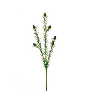 Berm distel 70cm paars roze