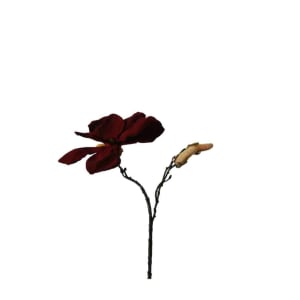 Magnolia takje 26cm bordeaux 4 scaled