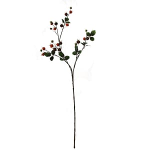 Rose hip 4
