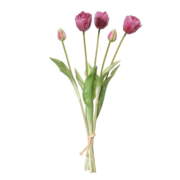 Flowerdutchess tulpen 5 42cm licht paars
