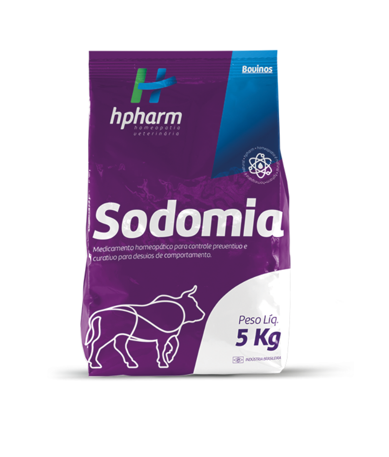 Sodomia