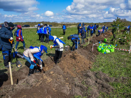 Геоглиф «Искра» восстановлен