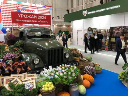 Гатчинский округ на Всероссийской выставке «Золотая осень»