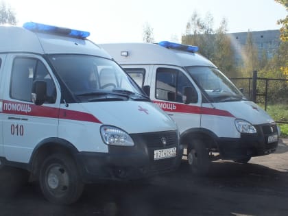 Необычные случаи в работе скорой помощи Гатчины