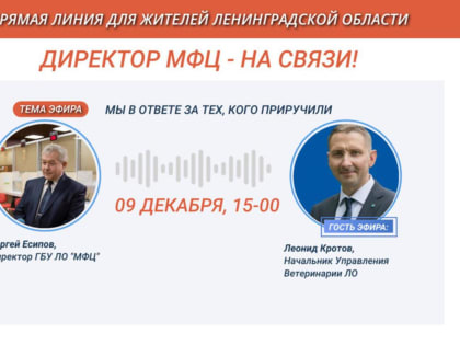 Прямая линия о заботе о животных в Ленинградской области