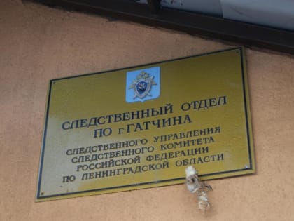 3-летняя девочка в Гатчине отравилась чистящим средством