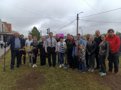 Сажаем каштаны: экосубботник в Гатчине