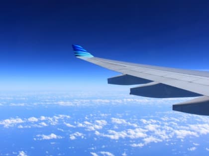 Прямое авиасообщение между Петербургом и Индией намерены наладить в 2024 году