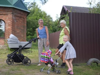 Расширение прав многодетных семей в Ленинградской области